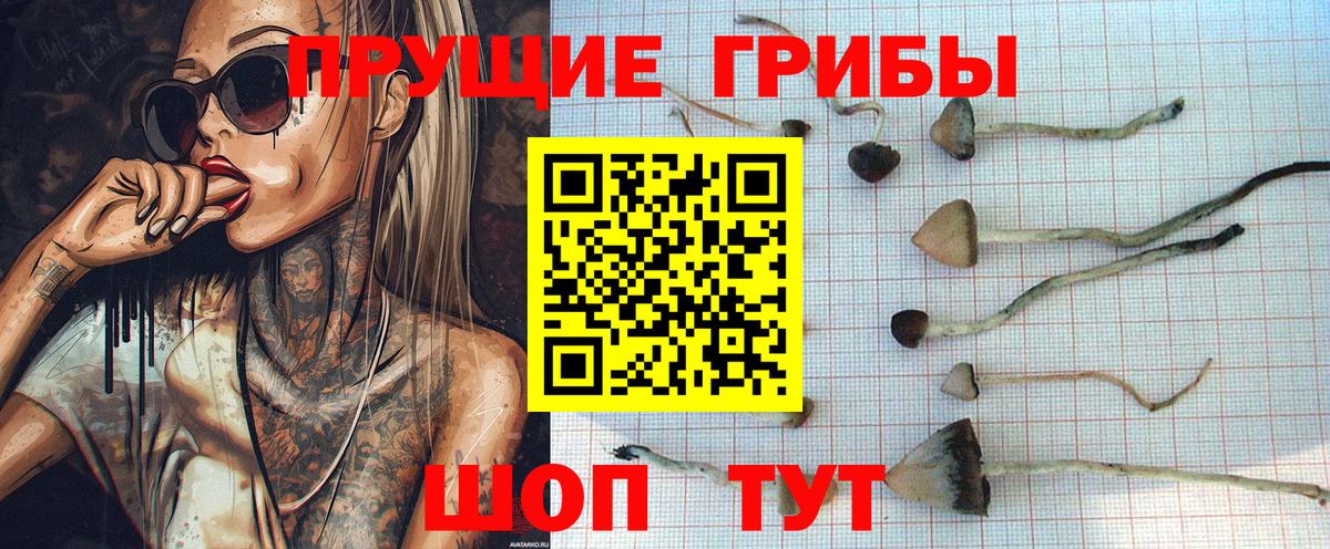 Псилоцибиновые грибы GOLDEN TEACHER Выкса