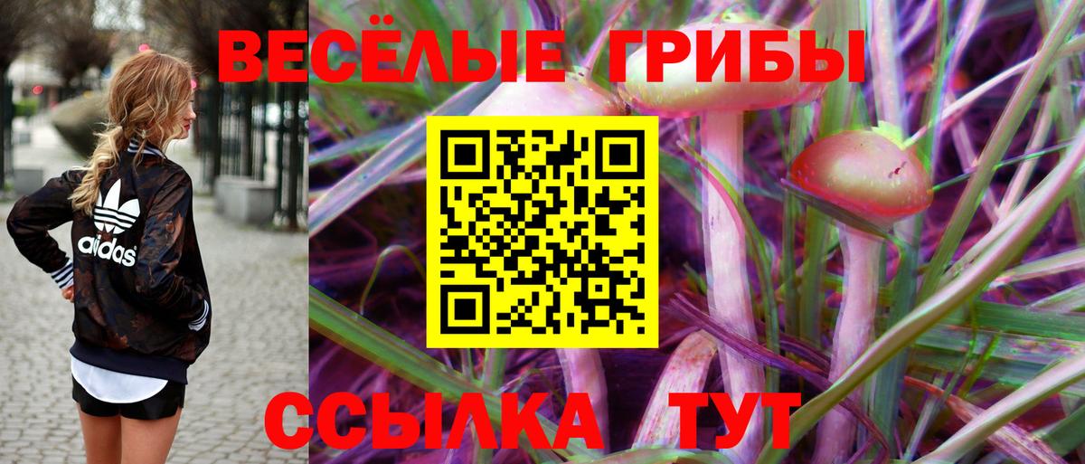 Выкса  Псилоцибиновые грибы MAGIC MUSHROOMS  Вход с VPN 
